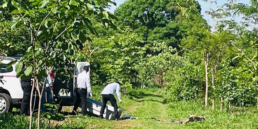 Corpo foi localizado na manhã de quarta em um terreno da Prefeitura no Jardim Conceição (Marco Antonio dos Santos 26/10/2022)