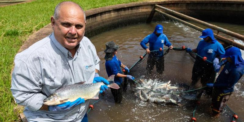 研究者は絶滅危惧種を救うために「代理出産」で魚を繁殖させます