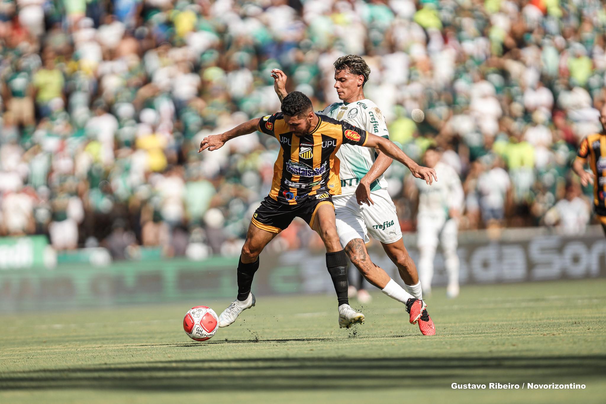 Novorizontino Marca No último Minuto E Empata Com O Palmeiras Na Estreia