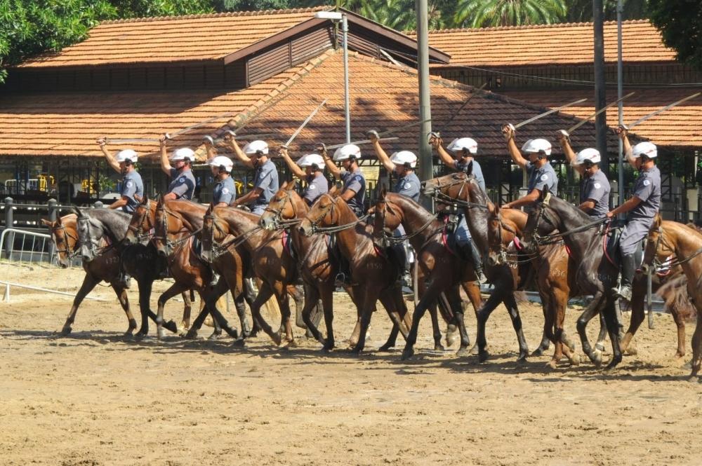 BREVE CAVALARIA - Militar SP-Artigos Militar