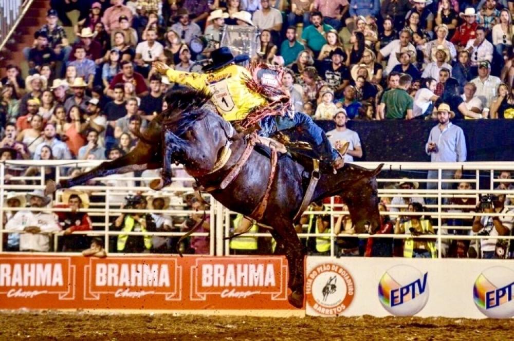 PULA BOI, PULA CAVALO: Country Bulls resgatará tradição das montarias em  cavalos