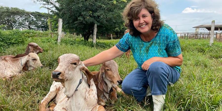 Pesquisadora Lenira El Faro Zadra: ‘Percebemos que o comportamento destes animais, quando recebem carinho, fica menos reativo, interferindo na boa produtividade de leite’ (Divulgação)