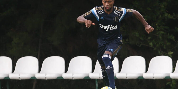 Foto: Cesar Greco/Palmeiras