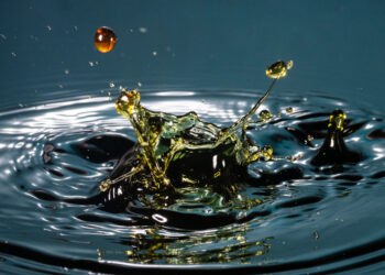 Créditos: Imagem de freepik