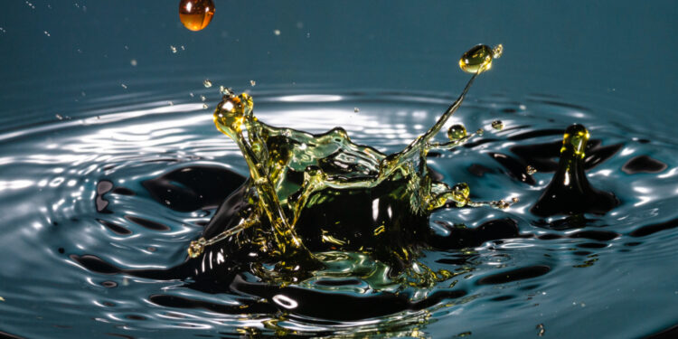 Créditos: Imagem de freepik