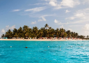 Créditos: Shutterstock