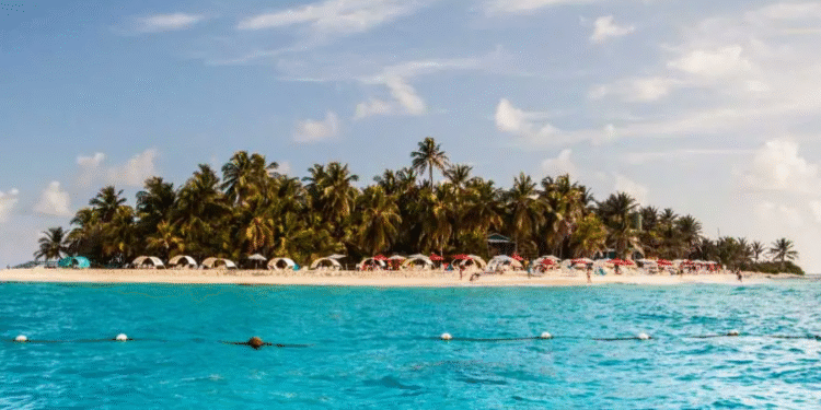 Créditos: Shutterstock