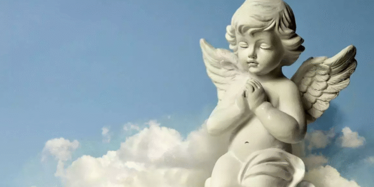 Créditos: Shutterstock