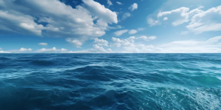 Créditos: Shutterstock