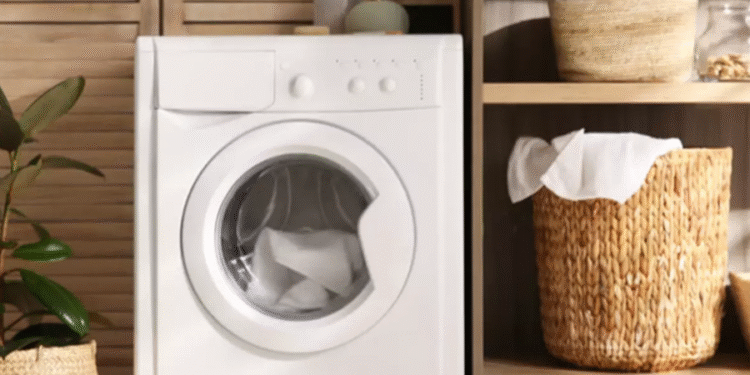 Créditos: Shutterstock