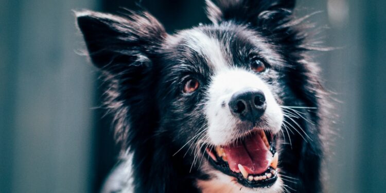 Créditos: Foto de Baptist Standaert na Unsplash