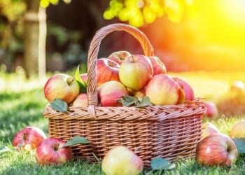 Créditos: Valentyn Volkov | Shutterstock