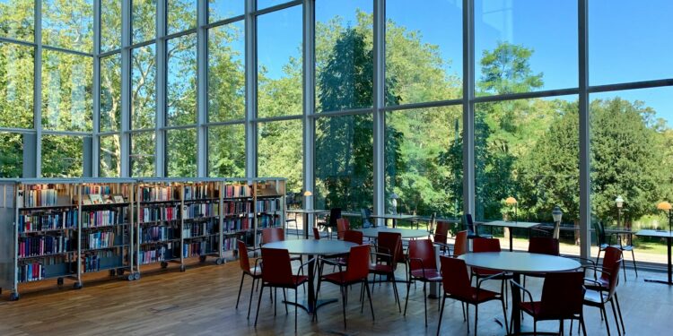 Governo decide pelo fechamento de 6 universidades para 2025 neste país