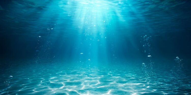 Créditos: Shutterstock