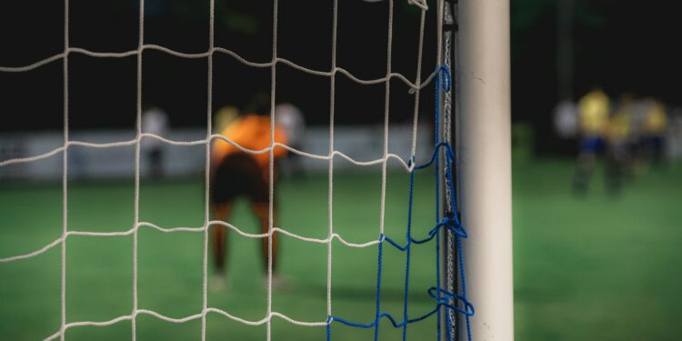 goleiro Seleção Brasileira