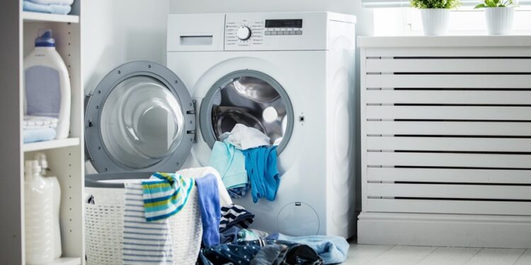 Créditos: Shutterstock