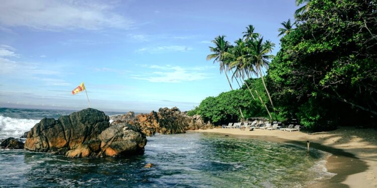 Créditos: Foto de Matt Dany na Unsplash