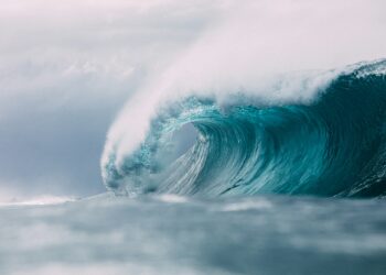 Créditos: Foto de Matt Paul Catalano na Unsplash