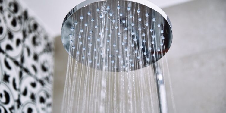 Créditos: Shutterstock