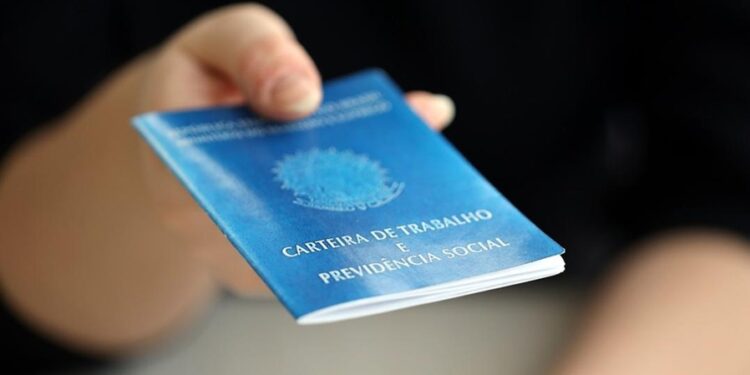 Créditos: Shutterstock