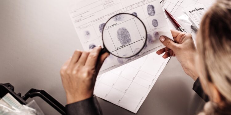 Créditos: Shutterstock