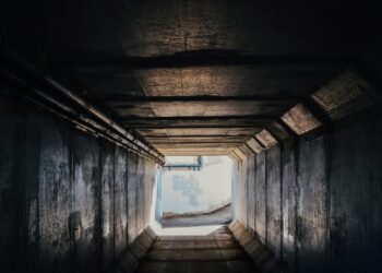 Créditos: Foto de Thom Milkovic na Unsplash