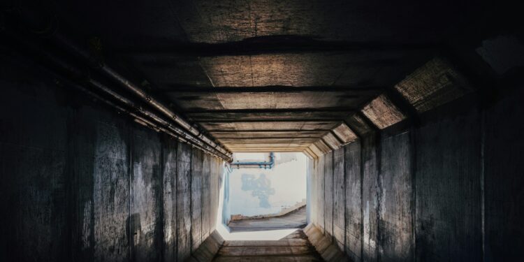 Créditos: Foto de Thom Milkovic na Unsplash
