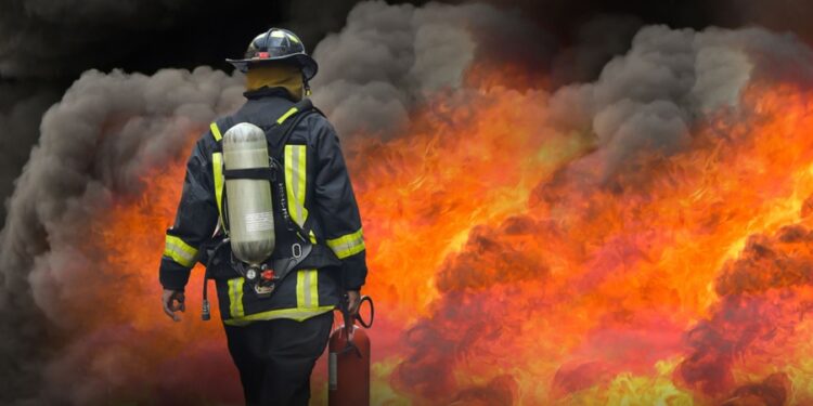 Créditos: Shutterstock