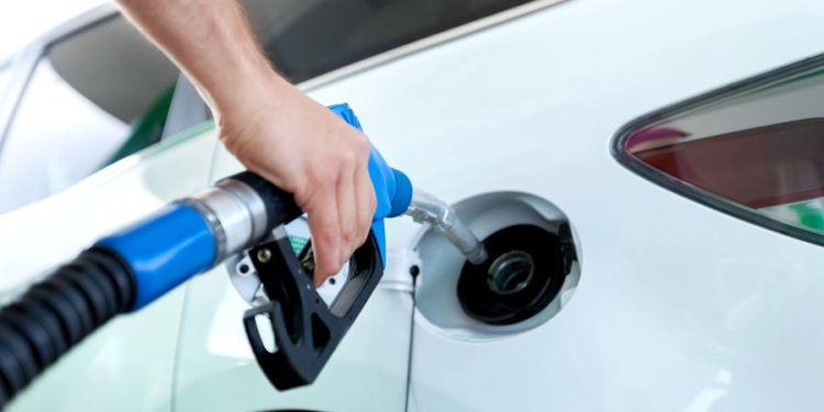 Créditos: Shutterstock