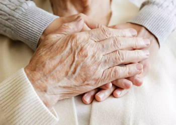 Créditos: Shutterstock