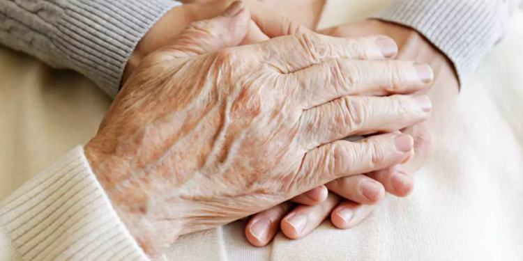 Créditos: Shutterstock