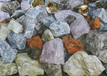 Créditos: Shutterstock