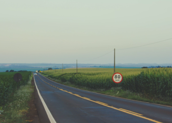 Créditos: Shutterstock