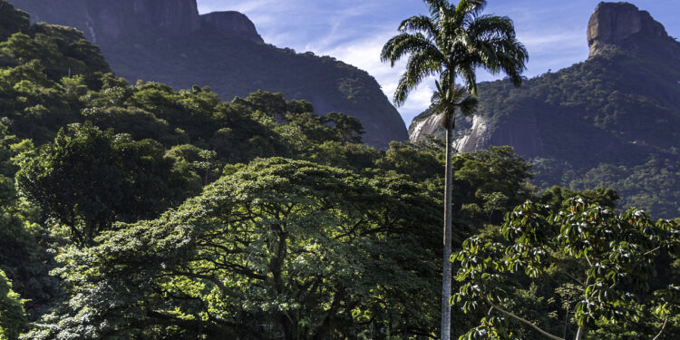 Créditos: Reprodução/Wikimedia Commons