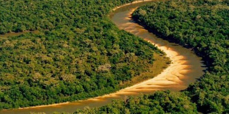 Créditos: Governo de Tocantins