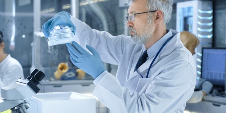 Créditos: Shutterstock