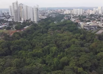 Créditos: Reprodução/ TV Anhanguera