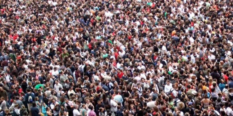 Créditos: Vania dos Santos - vvaniasantoss/ Pixabay