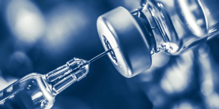 Créditos: Shutterstock