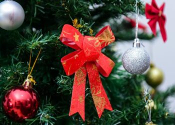 Créditos: Shutterstock