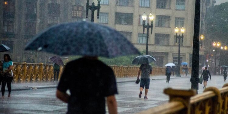 Créditos: Shutterstock