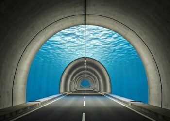 Créditos: Shutterstock