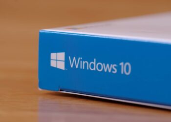 Créditos: Shutterstock