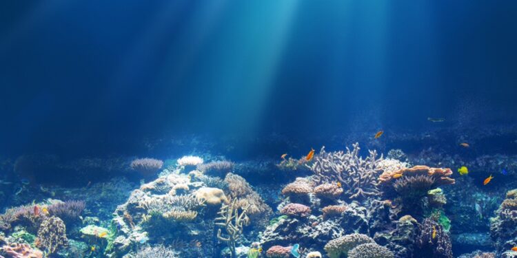 Créditos: Shutterstock