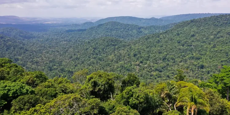 Créditos: Reprodução/TV Brasil