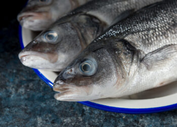 Peixes
