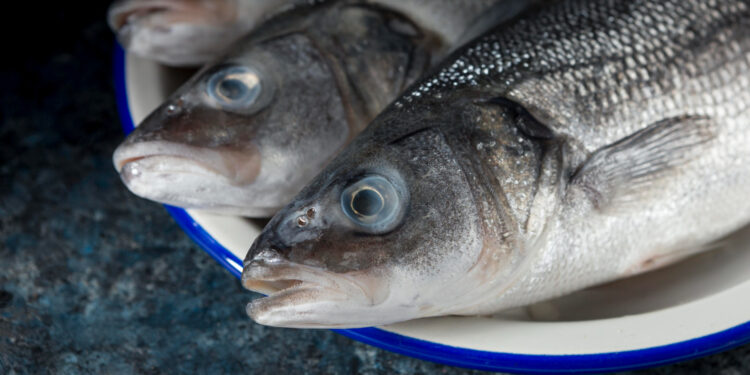 Peixes
