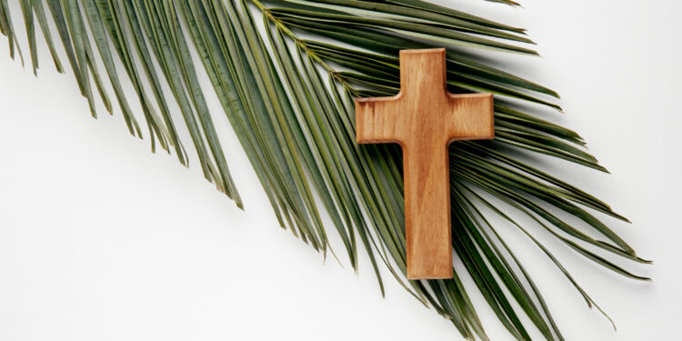 Créditos: Reprodução/Freepik