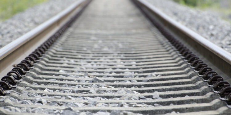 Créditos: Reprodução/Freepik