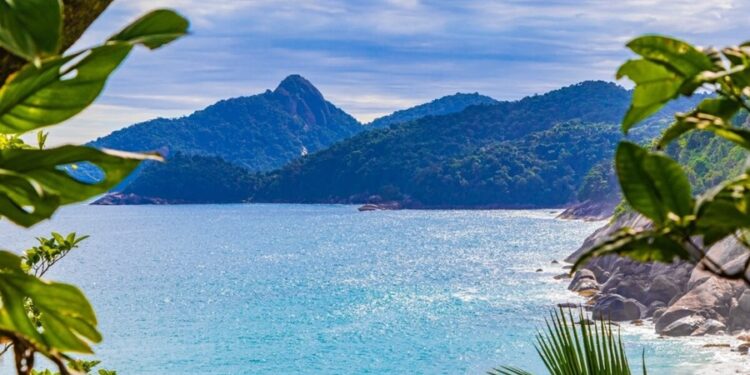 Créditos: Shutterstock